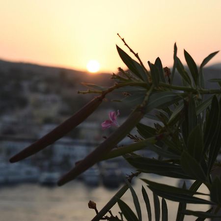 Marea Studios Symi Extérieur photo