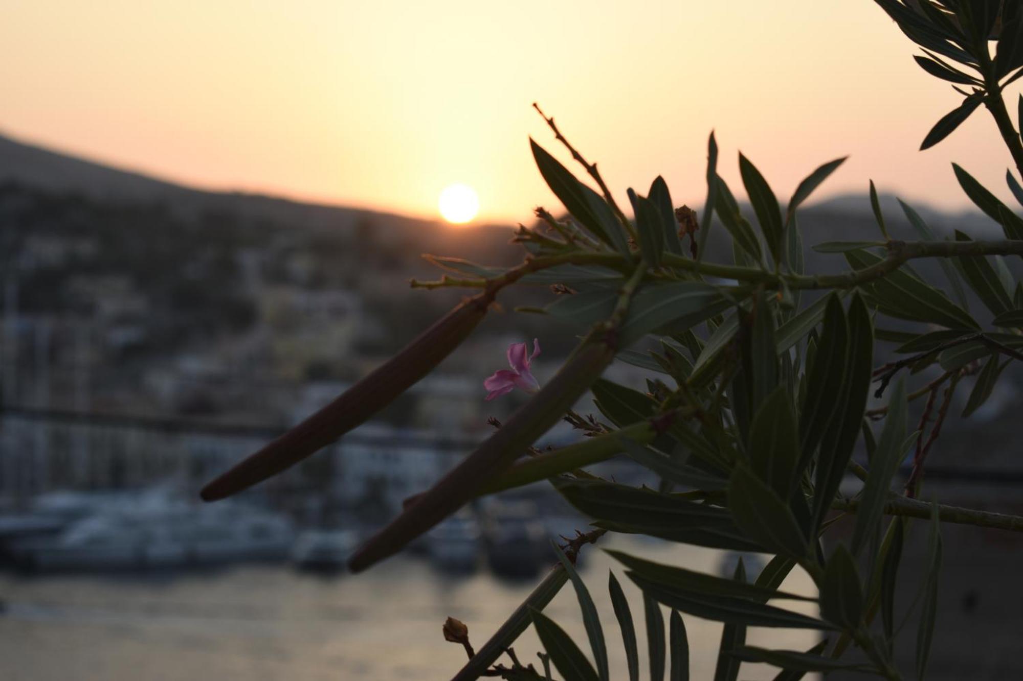 Marea Studios Symi Extérieur photo